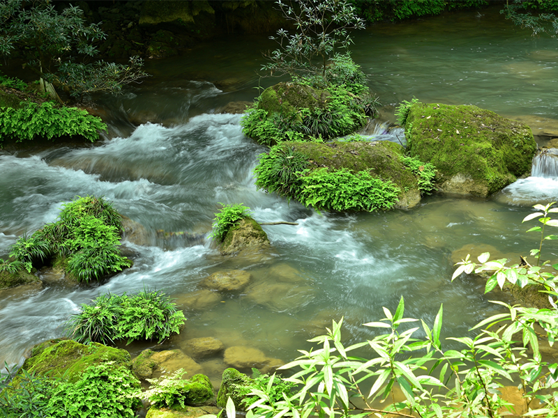 污水處理廠進水余氯超標怎么辦