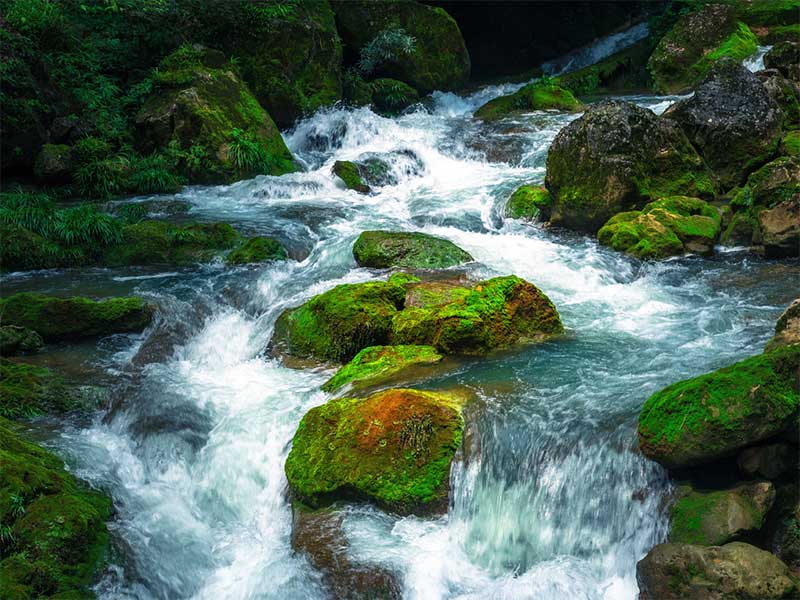 水質(zhì)檢測總氮標準