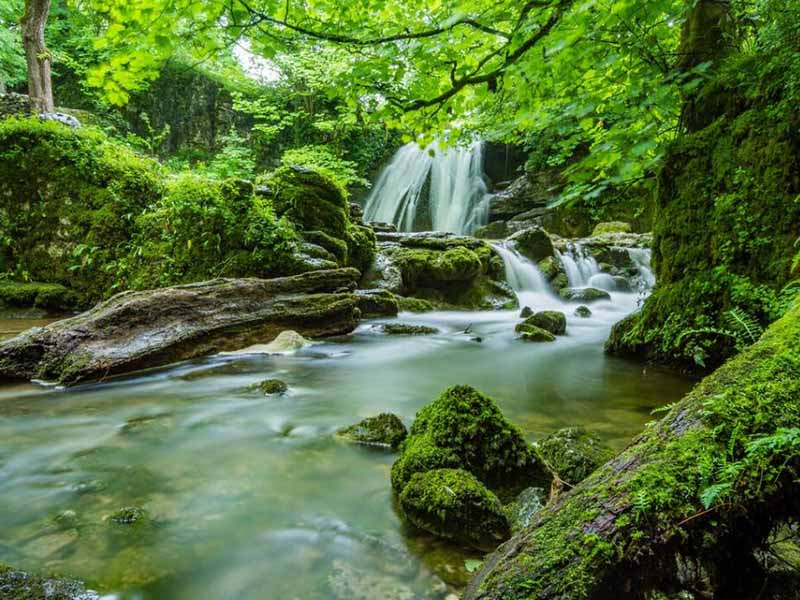 總氮和氨氮有什么關(guān)系